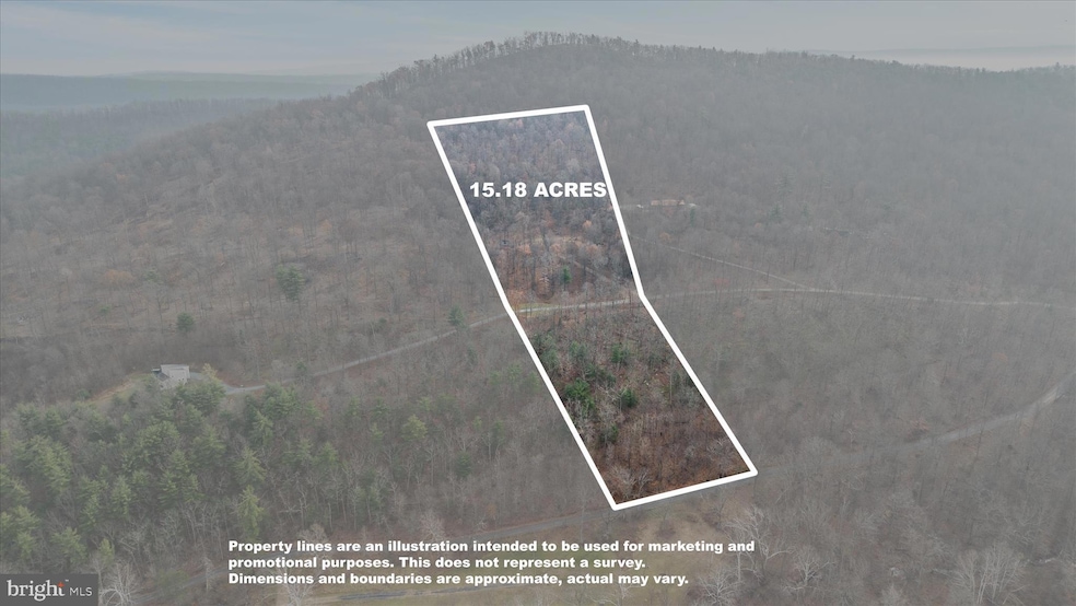 LOT 20 Buffalo Gap Terrace, Capon Bridge, WV 26711 - photo 1