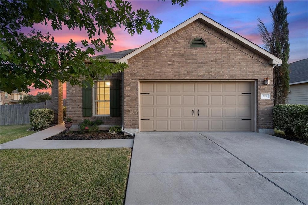 229 Wells Bend, Hutto, TX 78634 - photo 1