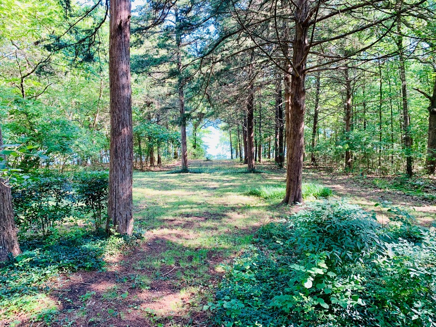 341 Skylane Dr, Kimberling City, MO 65686 - photo 1