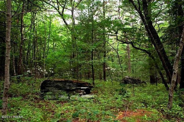 LOT 4 Frenchtown Rd, Milford, PA 18337 - photo 1