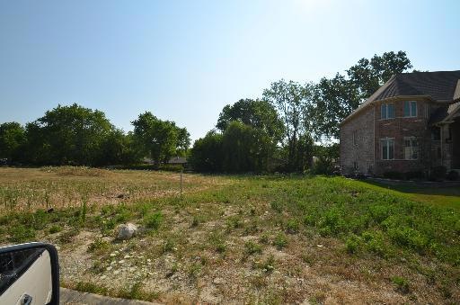 1947 Saddle Farm Ln, Naperville, IL 60564 - photo 1