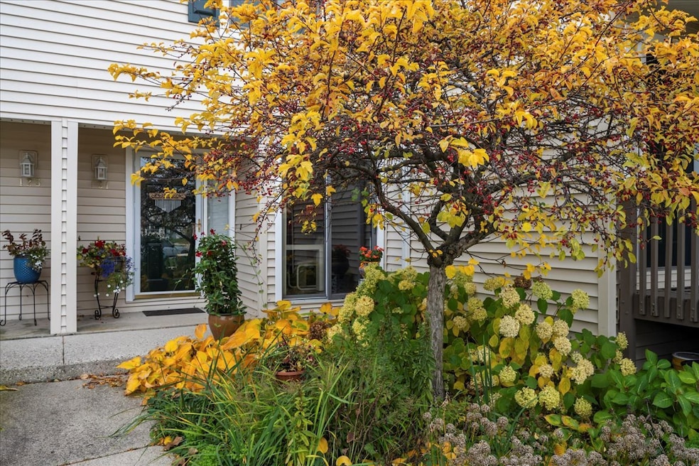 131 Autumn Ct unit CT10602, Buffalo Grove, IL 60089 - photo 1