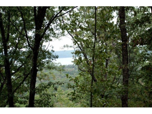 Lot 9 Plateau Ln, Kimberling City, MO 65686 - photo 1