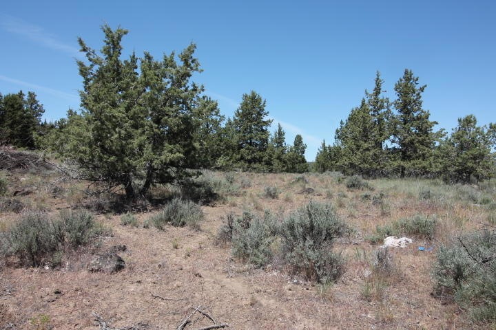 modoc