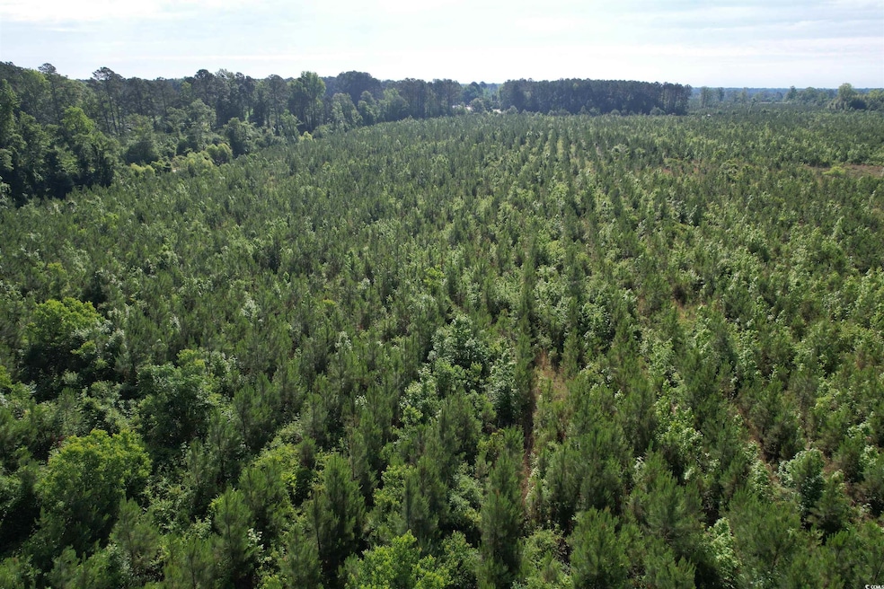 Sold $120,000 • Co-Listing Agent