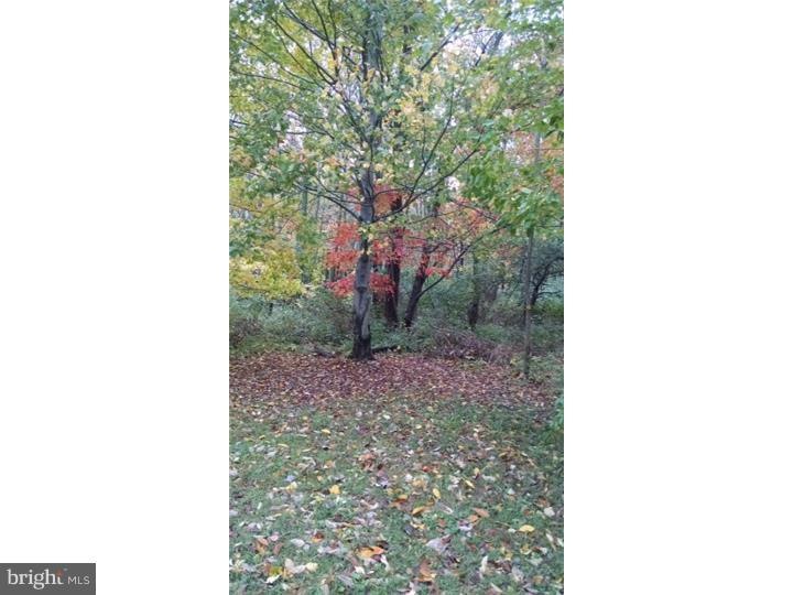 162 Mountain Rd, Lenhartsville, PA 19534 - photo 1