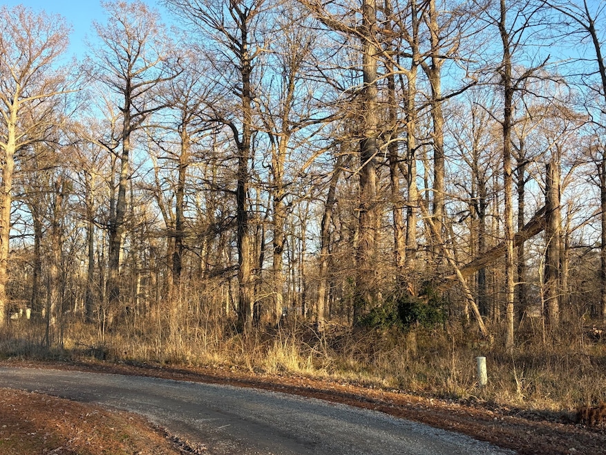 TBD Manatt Dr, Corning, AR 72422 - photo 1