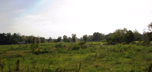 16819 County Road 809, Brazoria, TX 77422 - photo 1