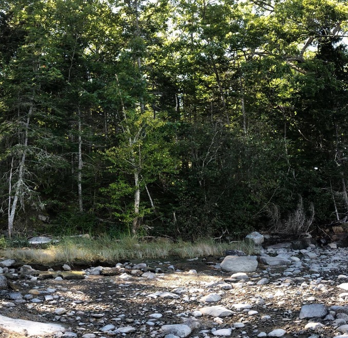 Land Picture