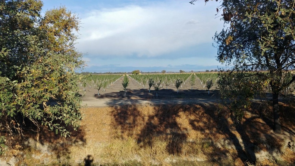 0 Paseo Rd, Live Oak, CA 95953 For Sale