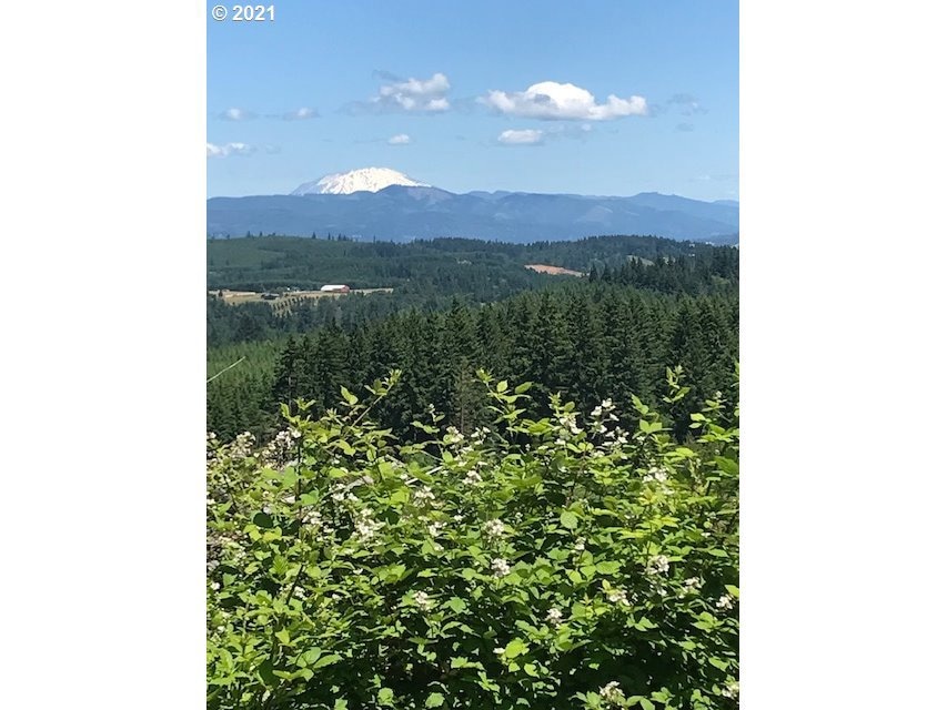 00 Cater (East) Rd, Warren, OR 97053 - photo 1