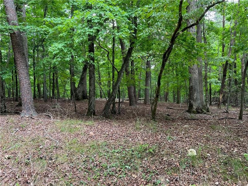 Beautiful, level lot.