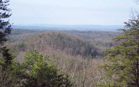 Main View