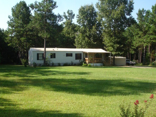 Main View