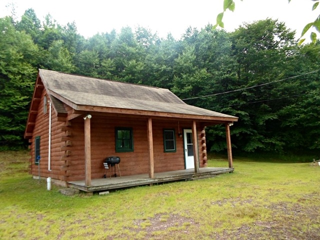 Main View