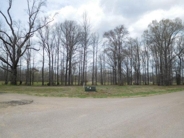 lot # 4 front view