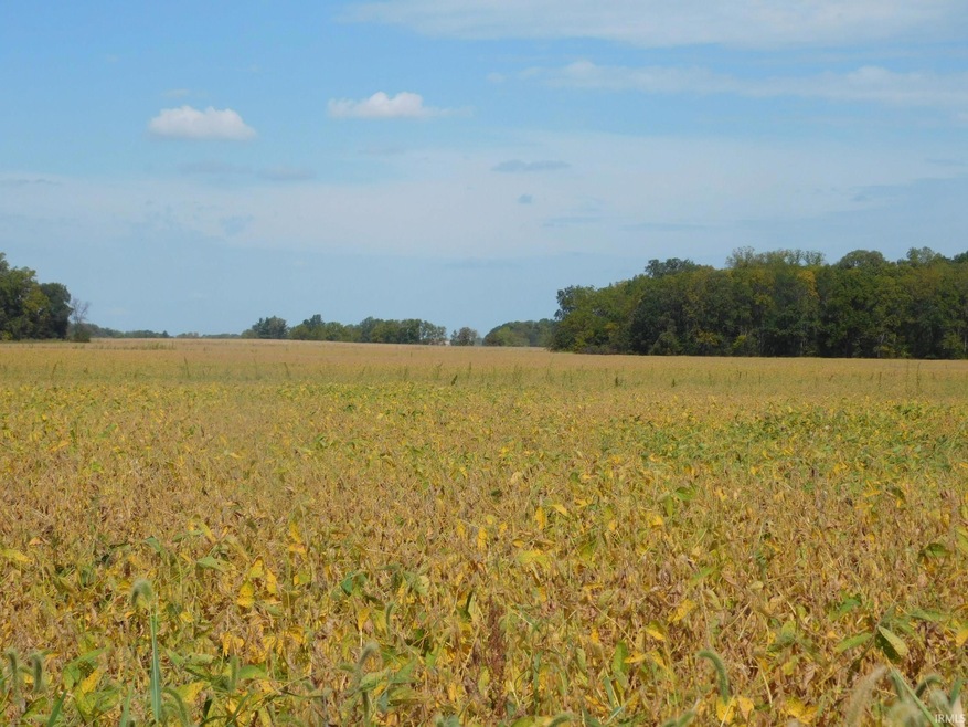 0 300 E unit 202436551, Hartford City, IN 47348 - photo 1