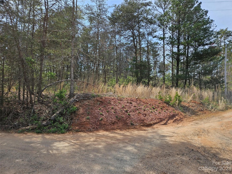 0 Buzz Lowman St, Connellys Springs, NC 28612 For Sale