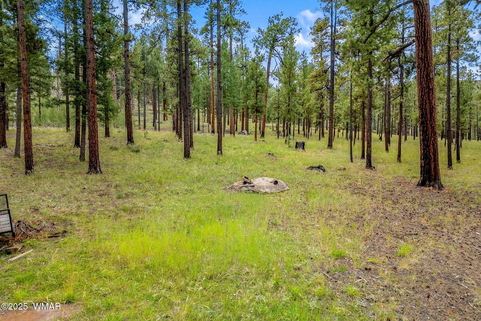 16 N1062, Greer, AZ 85927 - photo 1