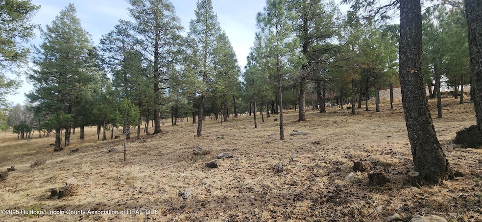 unlisted-address, Ruidoso, NM 88345 - photo 1