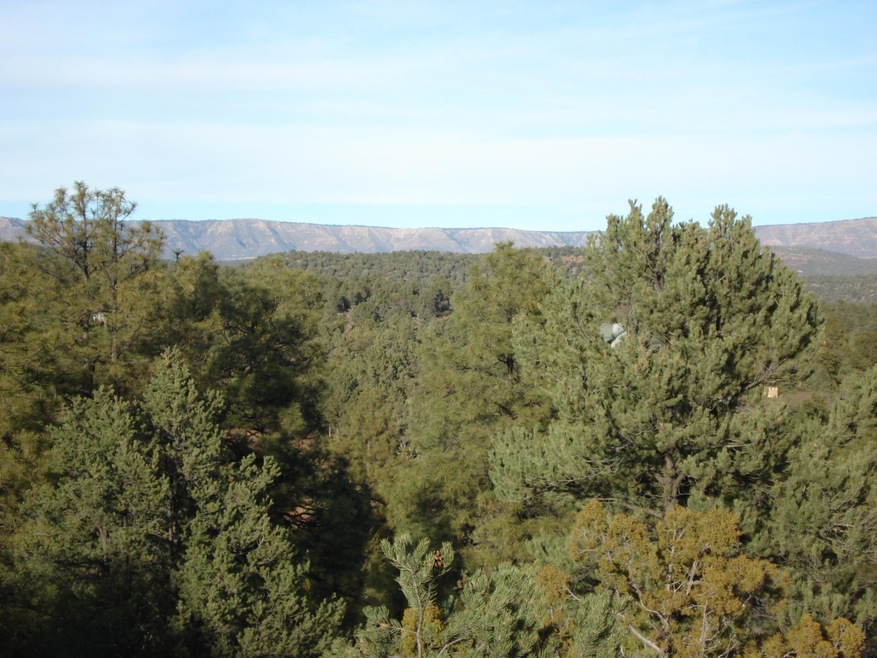 View to Mogollon Rim