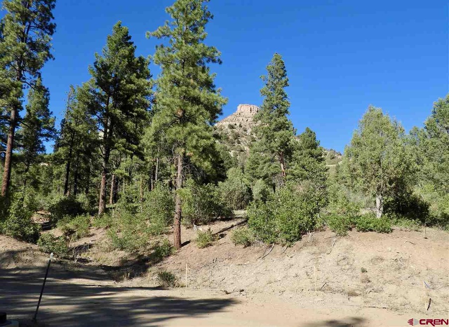 0 Wild Iris Ave unit 753612, Durango, CO 81301 - photo 1