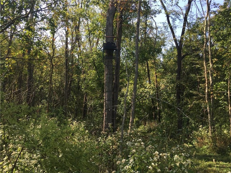 0 Dam Rd, Laurel, IN 47024 - photo 1