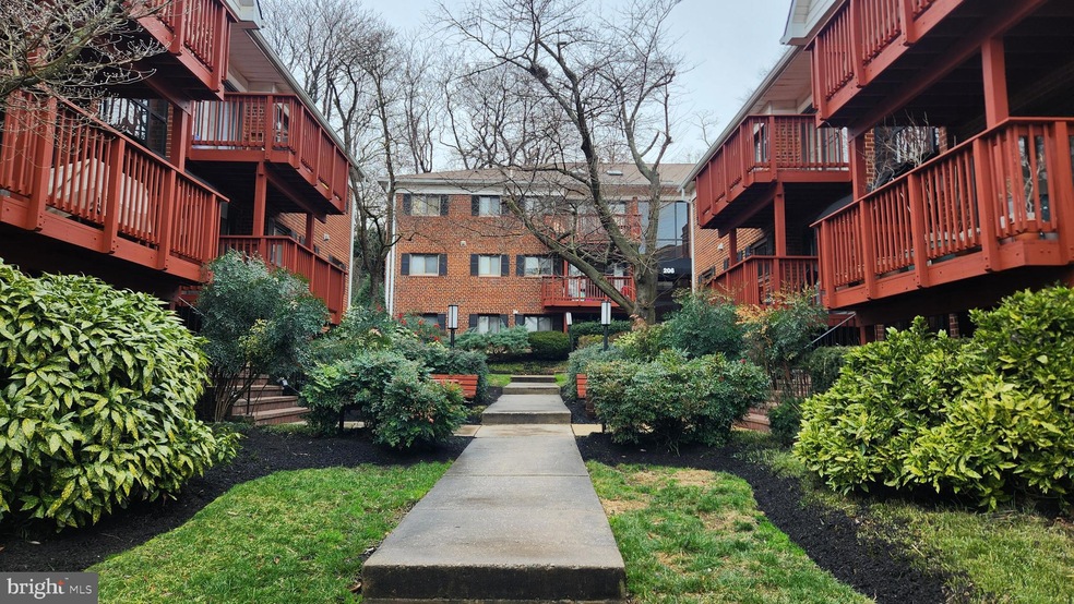 206 Skyhill Rd unit 3, Alexandria, VA 22314 - photo 1