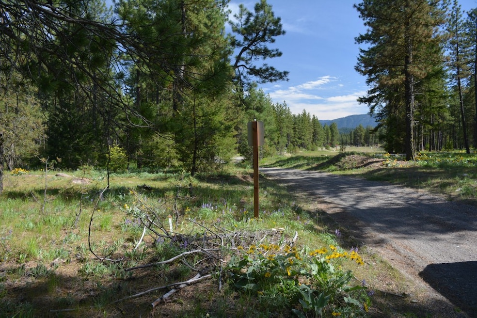 0 Winston Rd unit 607827, Ronald, WA 98940 - photo 1