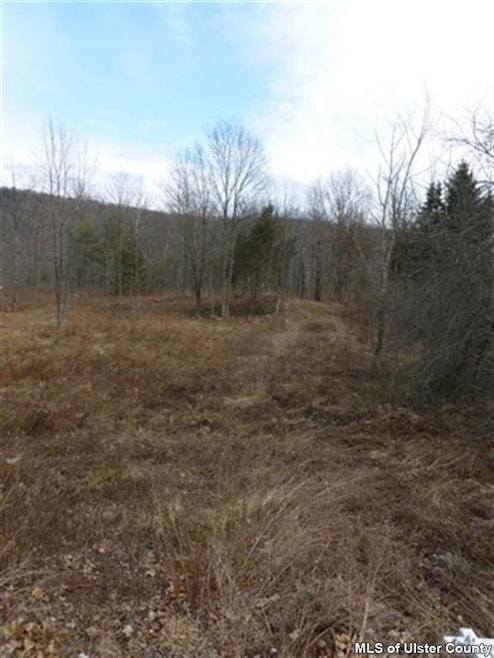 TBD - Lot 2 Pancake Hollow Rd, Highland, NY 12528 - photo 1