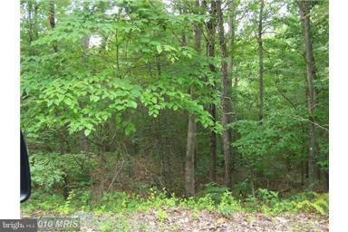 0 Anderson Rd unit 1000120987, Basye, VA 22810 - photo 1