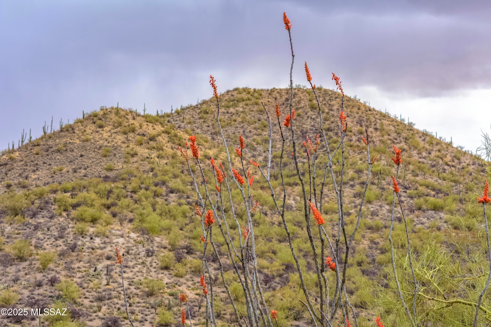 Sold $200,000 • Co-Listing Agent