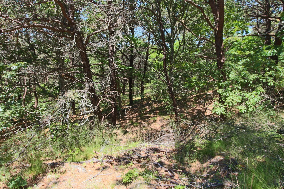 29 Noons Dr, Truro, MA 2666 - photo 1