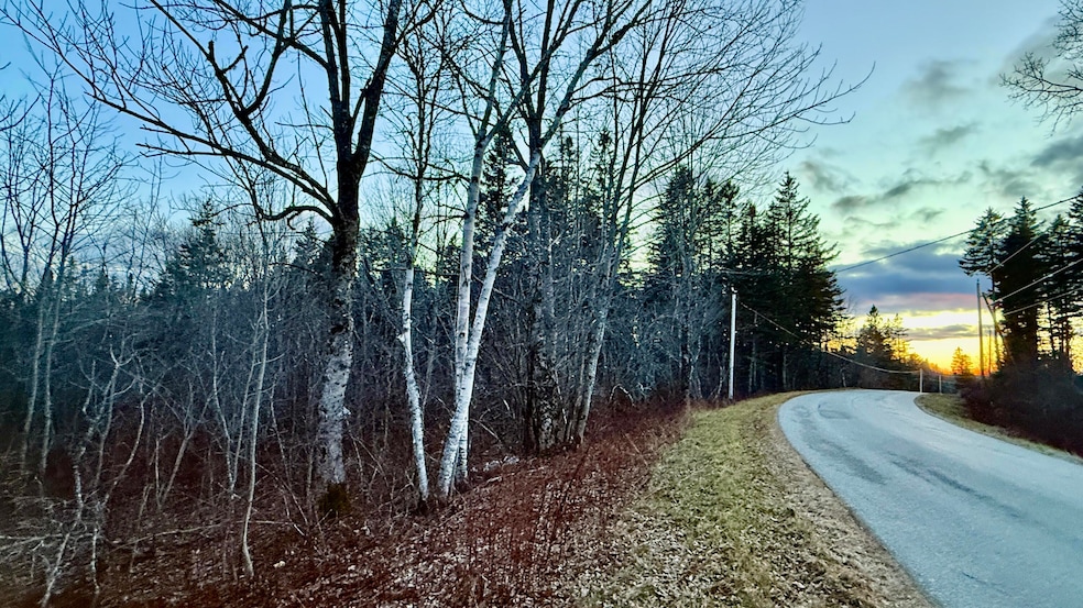 28.4 Wilcox Rd, East Central Washington, ME 04652 - photo 1