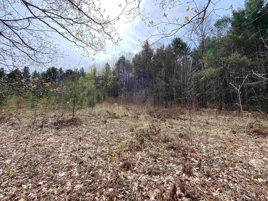 0 Pomfret Rd unit 4908761, Pomfret, VT 05053 - photo 1