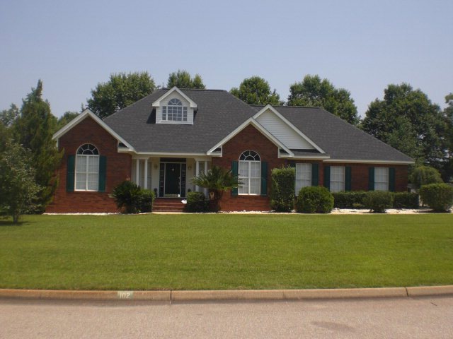 Main View