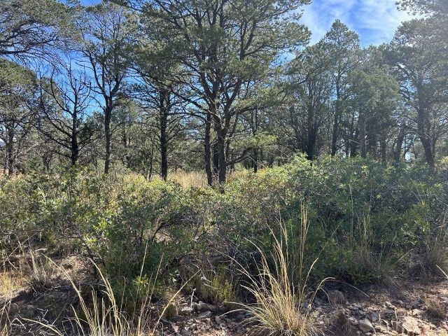 For Sale $25,000 • Co-Listing Agent