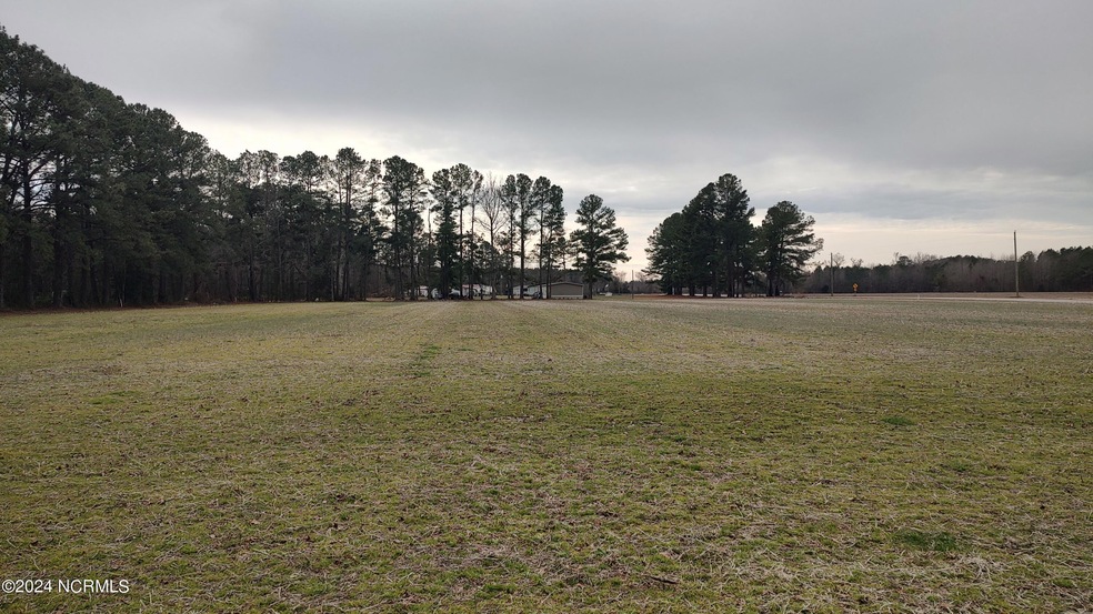 000 Green Pasture Rd, Rocky Mount, NC 27801 - photo 1