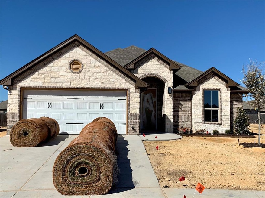 313 Jacinth Ln, Granbury, TX 76049 - photo 1