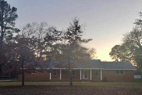 Main View