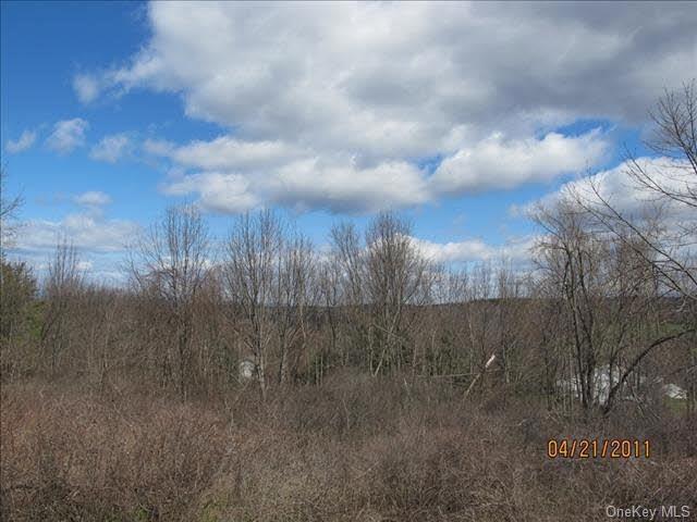 0 Brothers Rd unit 340629, Taghkanic, NY 12502 - photo 1
