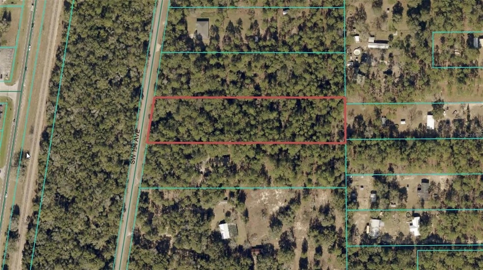 Lot 4 SW 194th Ave, Dunnellon, FL 34432 - photo 1