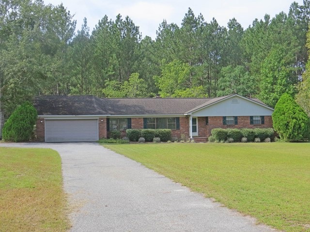 Main View