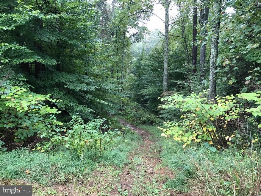 249 Quarry Rd, Stafford, VA 22554 - photo 1