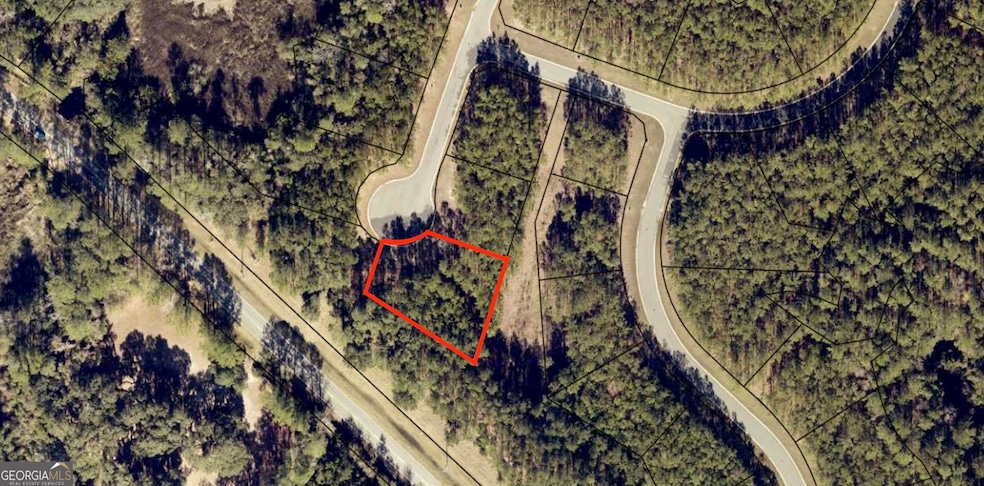 LOT 13 Grays Reef Ct, Waverly, GA 31565 - photo 1