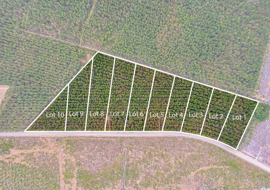TBD Joyner Swamp Rd unit Lot 6A, Galivants Fry, SC 29544 - photo 1