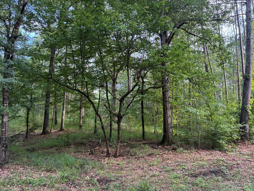 For Sale $60,000 • Co-Listing Agent