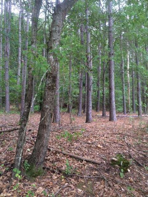 0 E Freeman St unit 5716461, Maysville, GA 30558 - photo 1