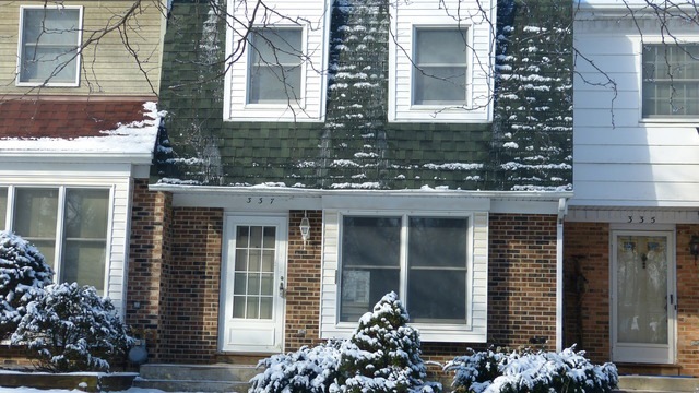 337 Monroe St unit 4, Oswego, IL 60543 - photo 1