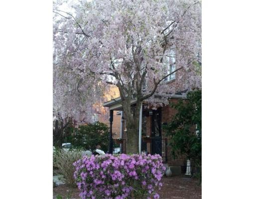 21 Irving St unit 21, Watertown, MA 02472 - photo 1